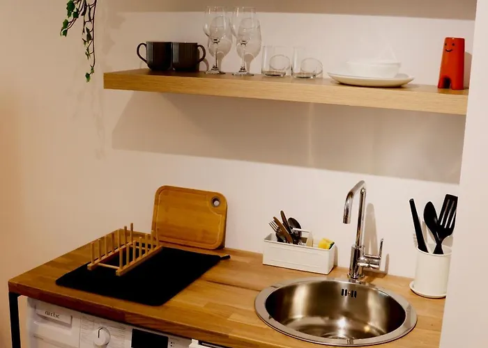 Kiseleff Park Apartament