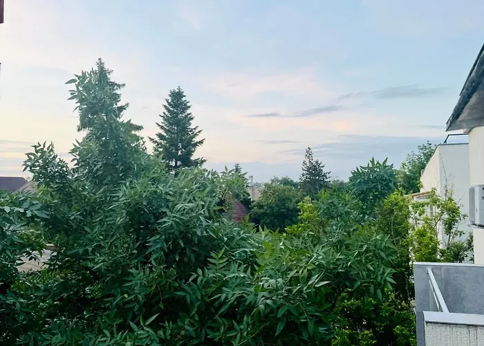 Kiseleff Park Apartman